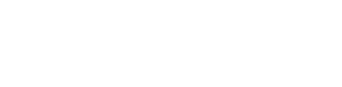 Technology Consulting Services