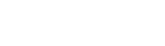Technology Consulting Services