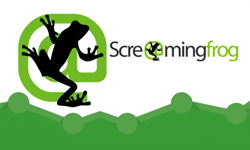 Seo Services