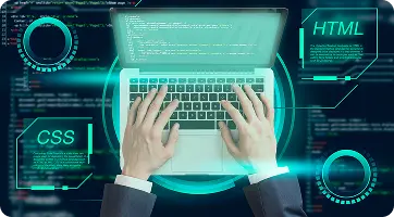 Custom Website Development