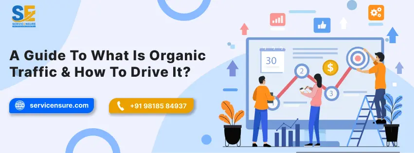 what is organic traffic